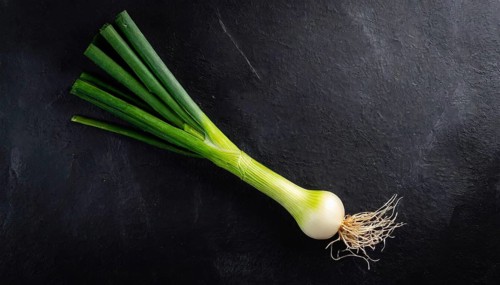Vegetable, spring onion or spring onion, also known as winter onion, Allium fistulosum