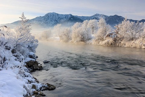 River and trees in hoarfrost in front of mountains, winter, Loisach, view of Herzogstand and