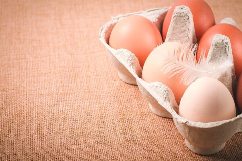 Fresh eggs, in cardboard containers, carriage, brown