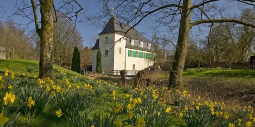 Goldberg Mill in spring, historical sight, Mettmann, Bergisches Land, North Rhine-Westphalia,