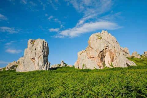 Striking boulders surrounded by ferns on the Pink Granite Coast in Brittany, France, Europe