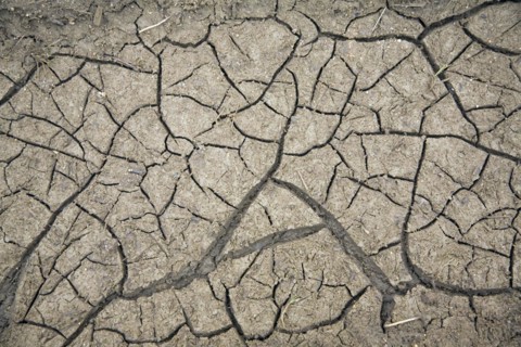 Cracked soil surface, Suffolk, England, UK