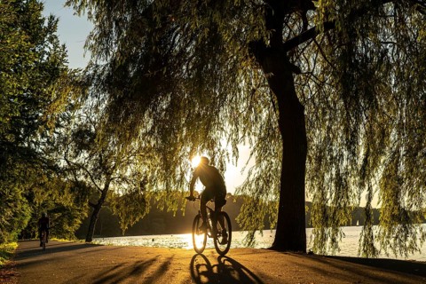 Cycling on Lake Baldeney, around 14 kilometres around the Ruhr reservoir, summer evening on the