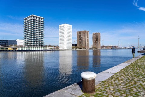 Kattendijkdok, harbour basin, high-rise residential buildings, apartment buildings, old harbour