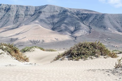 Dune landscape, Playa de Famara, Lanzarote, Canary Islands, Spain, Europe