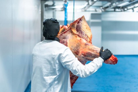 Rear view of a female butcher transporting meat along a cold storage room in a factory