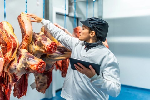 Woman butcher using digital tablet working inside a cold storage room in a meat processing factory