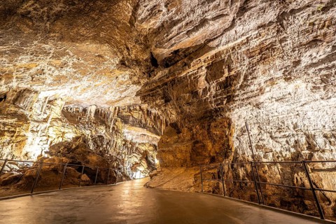 Pathway winding through illuminated postojna cave, showcasing breathtaking stalactites and