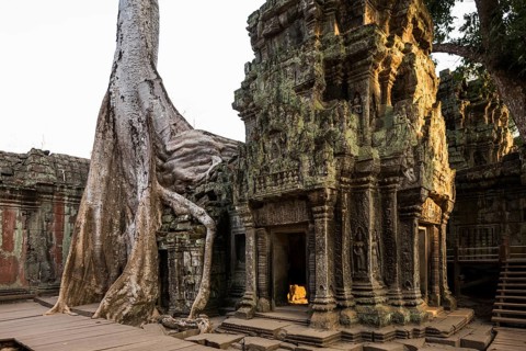 Ta Prohm, Angkor Wat, Angkor, UNESCO World Heritage Site, Siem Reap, Cambodia, Indochina, Southeast