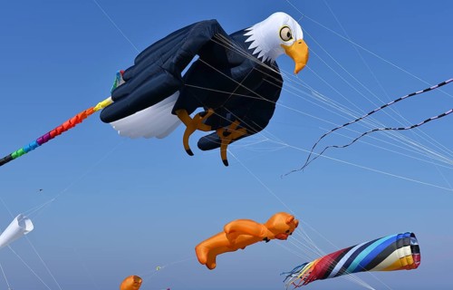 Kite festival, flying kites on Schönberg beach, Schleswig-Holstein, Germany, Europe