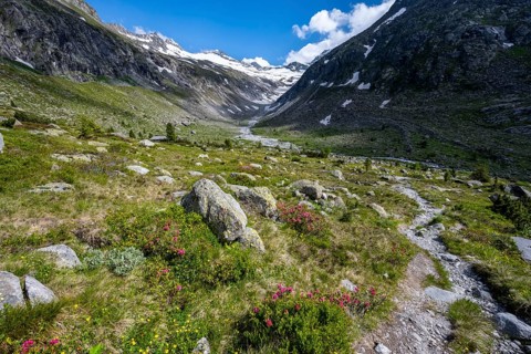 Hiking trail in picturesque mountain landscape, behind mountain peak with snow and glacier