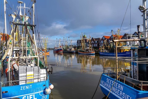 Cutter harbour Neuharlingersiel, shrimp cutter, East Frisia, Lower Saxony, Germany, Europe