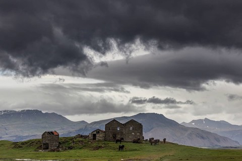 Dark clouds, abandoned building, crumbling farm, Icelandic horses, Höfn, Iceland, Europe