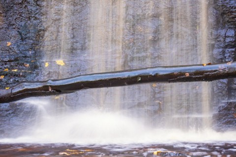 Tree log by a waterfall with falling water by a rock face