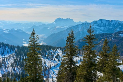 Snow-covered mountain landscape with fir trees in the foreground, Steinplatte, Waidring, Tyrol,