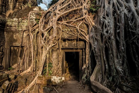 Ta Prohm, Angkor Wat, Angkor, UNESCO World Heritage Site, Siem Reap, Cambodia, Indochina, Southeast