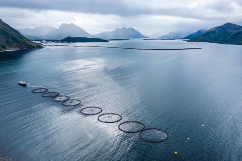 Aerial view of a salmon farm, rainy weather, grey sky, village Myre in the back, Vesteralen