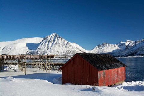 On the beach of Barstrand on the island of Gimsoymyrene, Lofoten, in Norway in winter, Norway,
