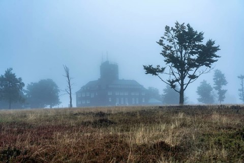 The high heath on the Kahler Asten, mountain in the Sauerland, in autumn fog, Winterberg, North