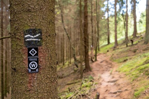 Hiking in the Sauerland, path near Jagdhaus, hiking sign, Rothaarsteig district of Schmallenberg,