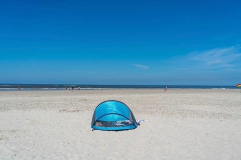 North Sea island Langeoog, early summer, beach shell, Lower Saxony, Germany, Europe