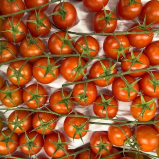 Ripe red vine tomatoes with green stalks in display of greengrocer grocery shop grocery store