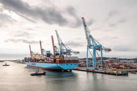 Container ship Mette Maersk, Maersk Line, loading cranes, harbour, Gothenburg, Sweden, Europe