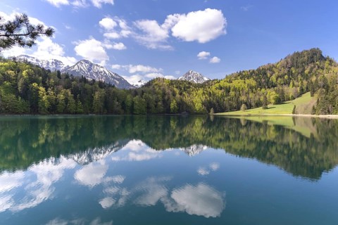 Alatsee in spring, Ostallgäu, Allgäu, Swabia, Bavaria, Germany, Europe