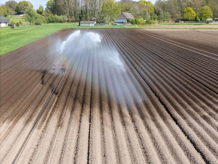 Artificial irrigation of a potato field in April, with a sprinkler system, long drought in spring