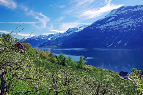 Green landscape with a view of a lake, surrounded by snow-capped mountains and trees, spring,