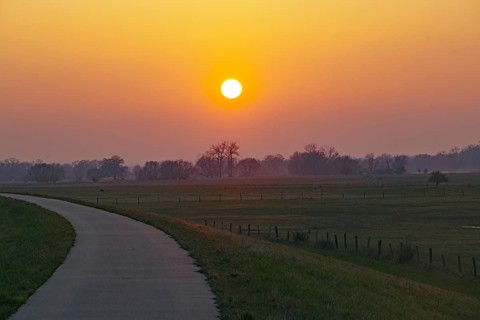 A country lane at sunset with soft colours and a peaceful rural feeling, Elbe dyke, Damnatz, Elbe