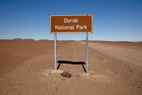 Shield Dorob National Park, Erongo Region, near Henties Bay, Namibia, Africa