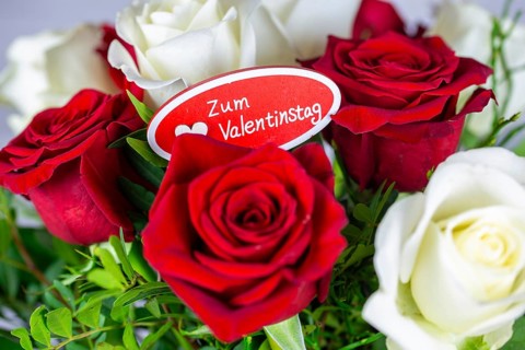 Valentine's greetings: Warm Valentine's Day greetings with a bouquet of white and red roses