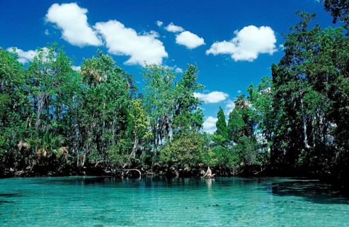 Three Sisters Manatee Sanctuary, USA, Florida, FL, Crystal River, North America