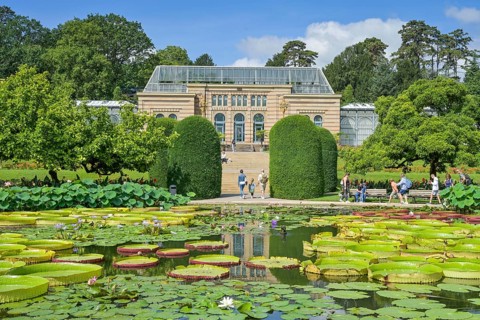 Water lily pond, behind the Moorish country house with greenhouses, Wilhelma, Zoological-Botanical