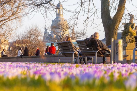Sunbathers on the crocus meadows at the Hotel Belevue on the banks of the Elbe in Neustadt. View of