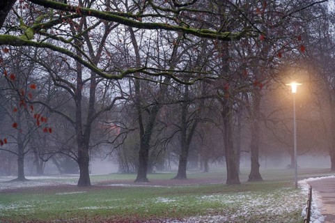 Cloudy mood and slush in the municipal park, danger of slipping, danger of catching a cold, cold,