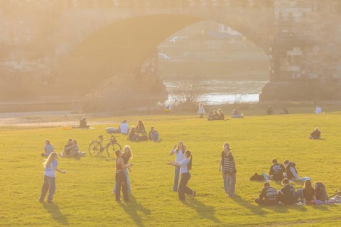 Elbe meadows in the spring sun, Dresden, Saxony, Germany, Europe
