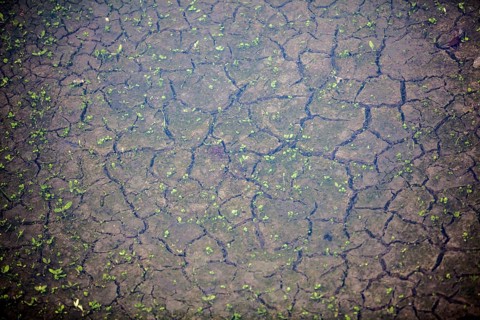 Drought riverbed, Bad Karlshafen, Upper Weser Valley, Weser Uplands, Weserbergland, Hesse, Germany,