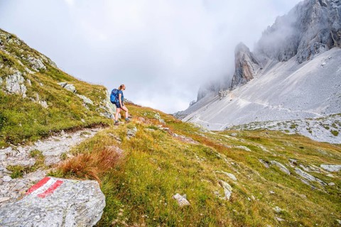 Hiker on the ascent to the Great Kinigat, Carnic Main Ridge, Carnic High Trail, Carnic Alps,