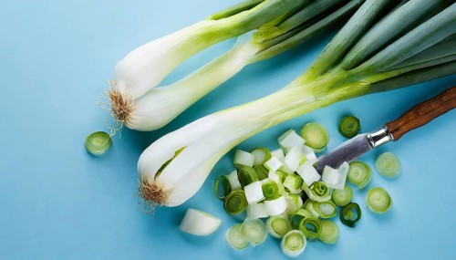 Vegetable, spring onion or spring onion, also known as winter onion, Allium fistulosum