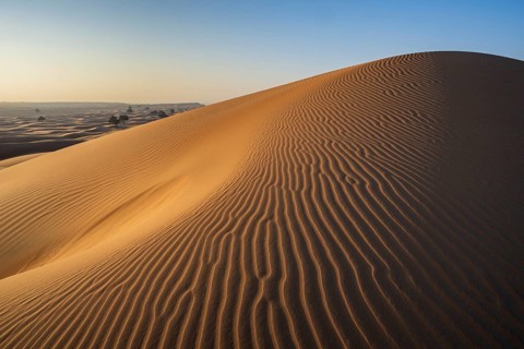 Sand dunes in the desert, near Duqm, Oman, Asia