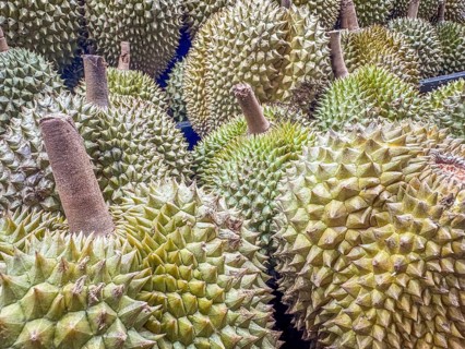 Jack-fruit (Artocarpus heterophyllus) displayed on a stand on a fruit market for sale. Background