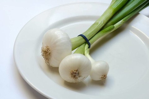 Onion, spring onions on a plate