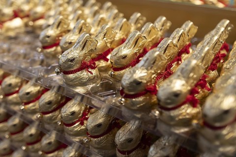 Gold bunnies from chocolate manufacturer Lindt in a supermarket, Berlin, 27/02/2024