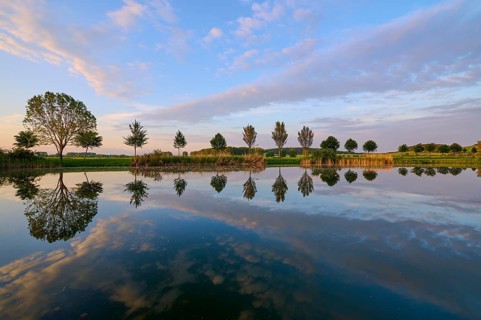 Lake in spring with row of trees and reflection at sunset, Drei Gleichen, Ilm-Kreis, Thuringia,