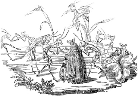 Grasshopper lady being courted by male creatures, romantic scene, parable about the life of men,
