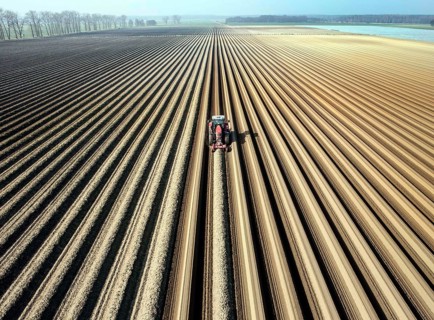An aerial photo shows a tractor in a large asparagus field. Preparations for the asparagus season.