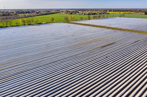 Asparagus fields near village Bröckel, rows covered with plastic foil, Lower Saxony, Germany,