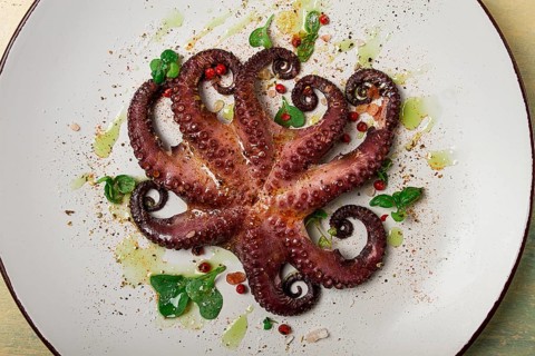 Boiled octopus, close-up, rustic style, no people, top view, close-up